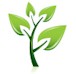 Check out our new Green fundraising book program